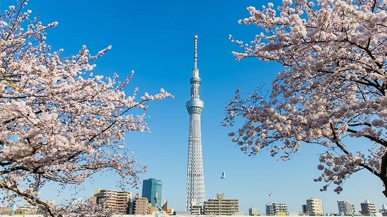 Khu Vườn Hoàng Gia Tokyo