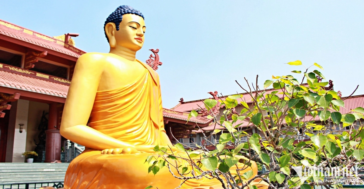 Khuôn viên thanh tịnh của chùa Phật Cô Đơn
