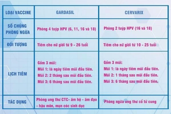 Lịch tiêm vắc xin HPV