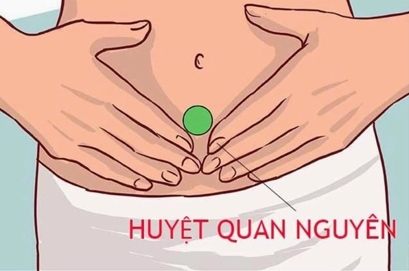 Minh họa các huyệt đạo trên cơ thể