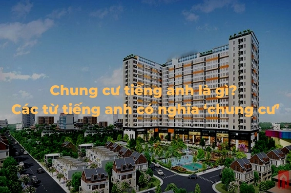 Minh họa các loại căn hộ chung cư