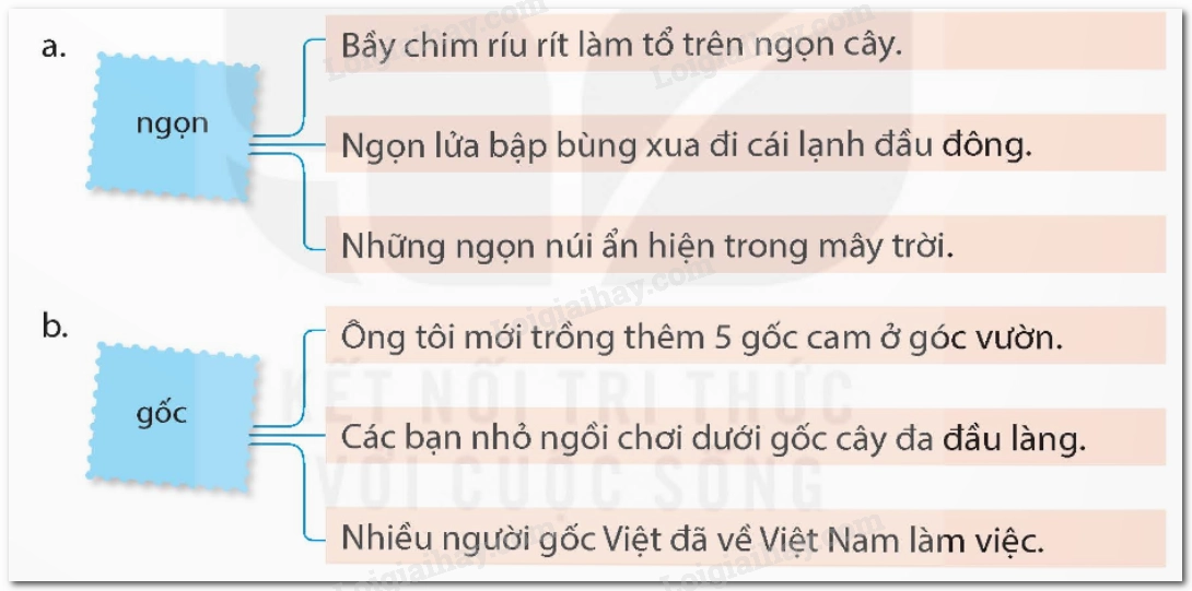 Minh họa khái niệm nghĩa gốc của từ