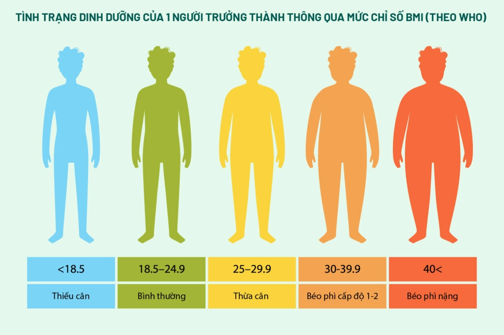 Minh họa phân loại tình trạng dinh dưỡng theo BMI