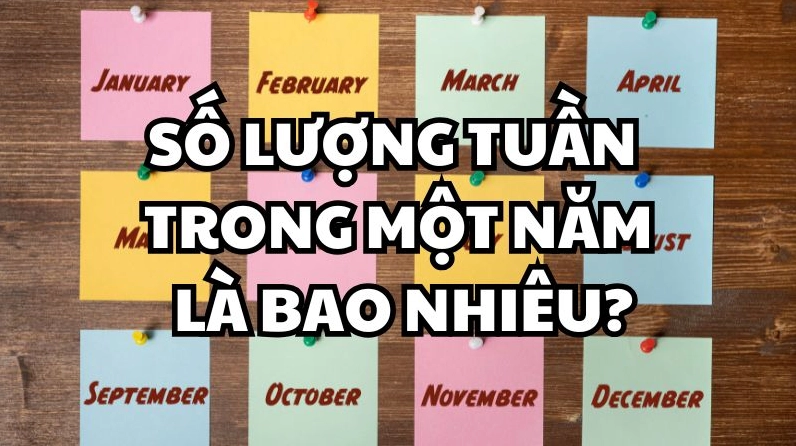 Minh họa số lượng tuần trong một năm