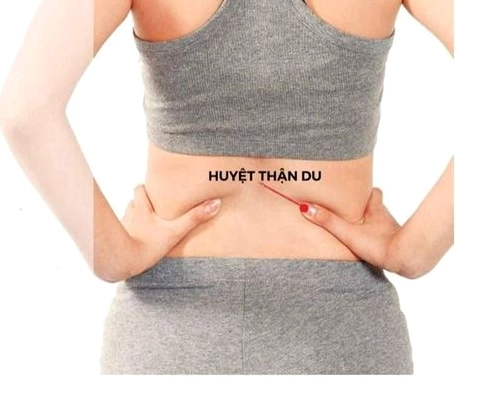 Minh họa tác dụng của huyệt Thận Du