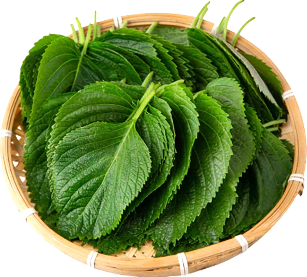 Một đĩa lá mè tươi và các loại rau ăn kèm khác