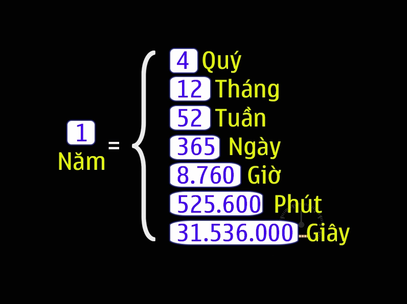 Một năm có bao nhiêu ngày?