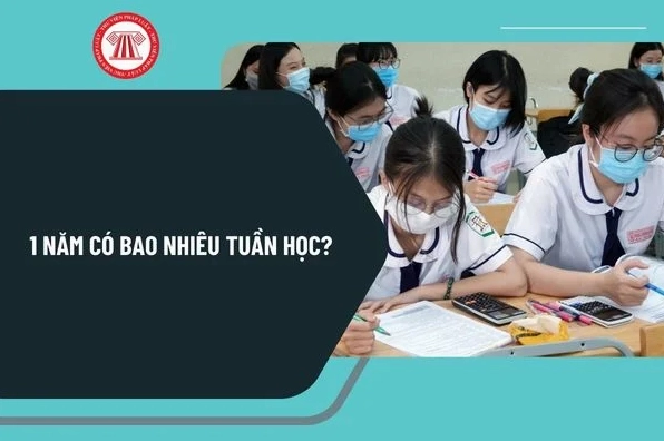 Một năm học có bao nhiêu tuần?