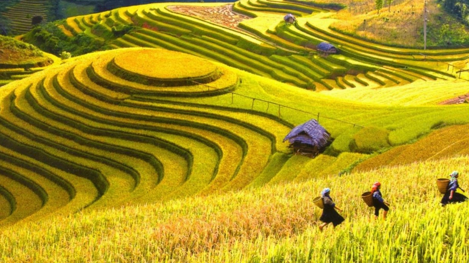 Người dân tộc thiểu số tại Hoàng Su Phì trong trang phục truyền thống