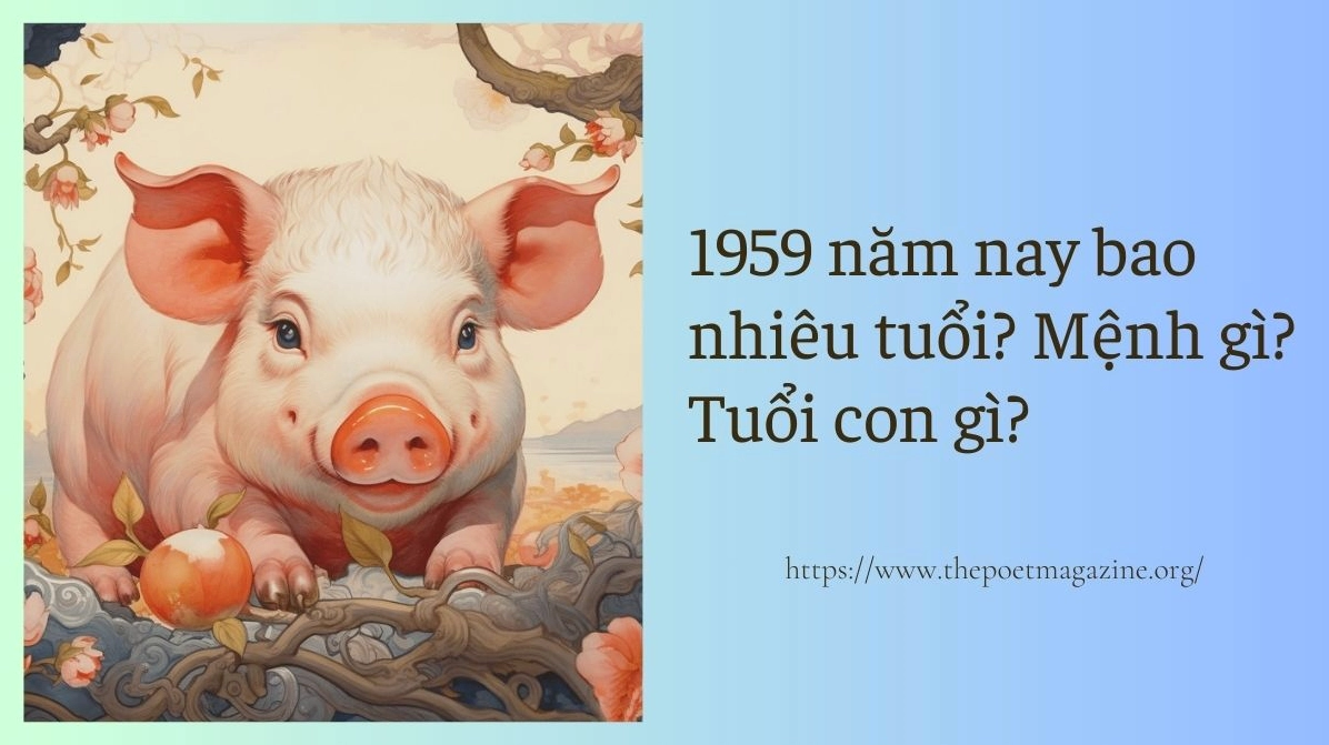 Người sinh năm 1959 tuổi gì