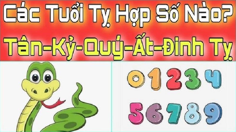 Người tuổi Rắn với sự thông minh và quyến rũ