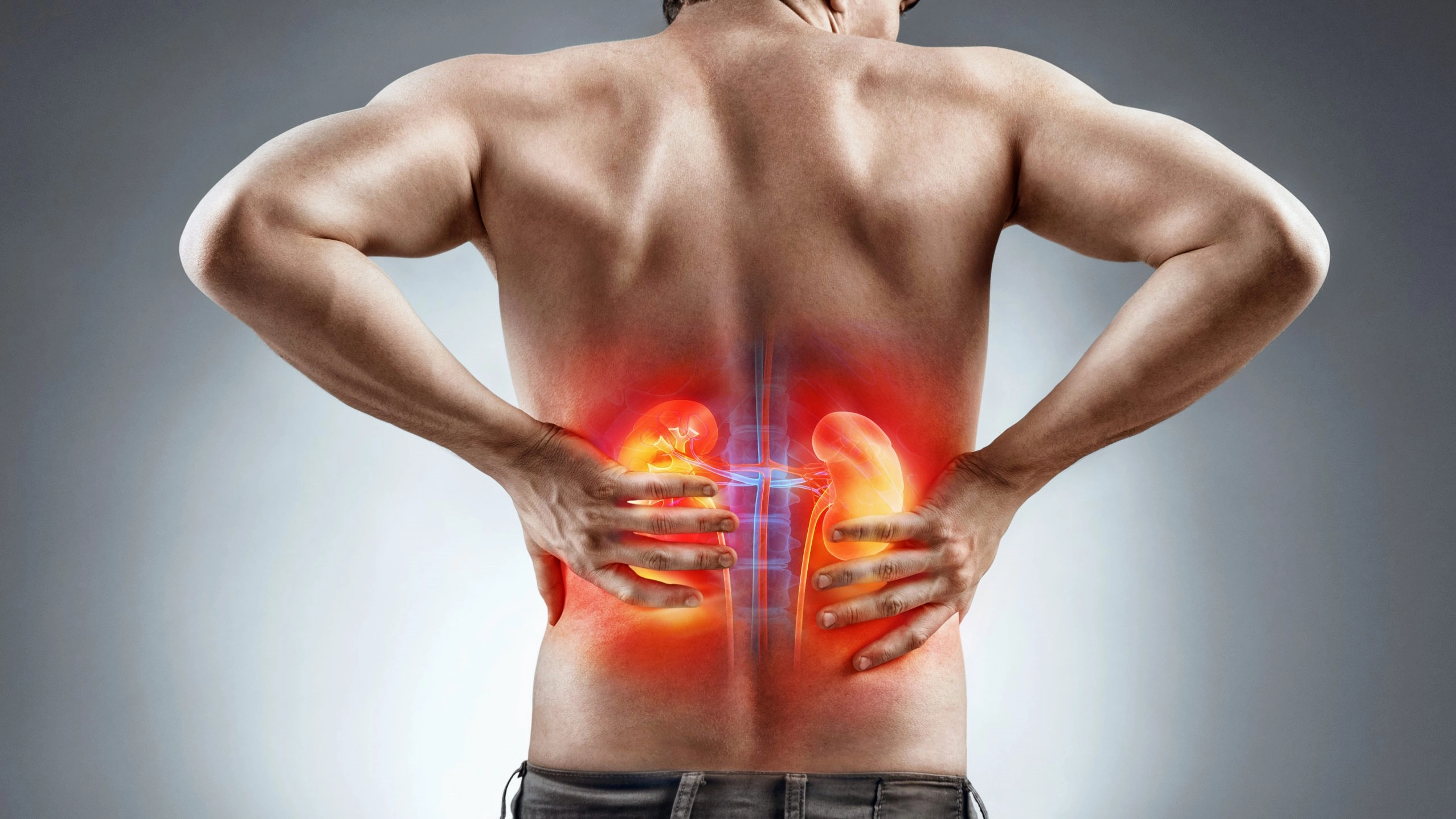 Nguyên nhân đau thận và cách giảm đau hiệu quả