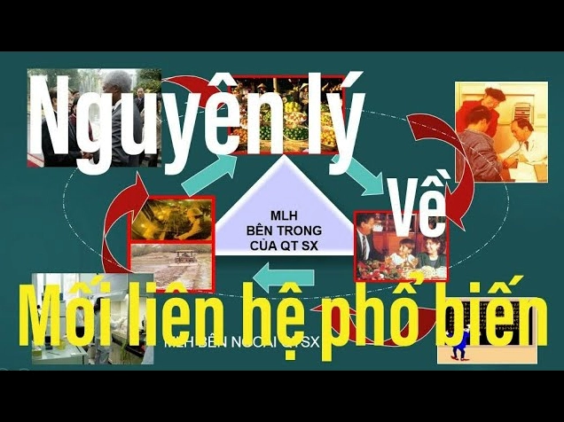 pho-bien-la-gi-y-nghia-va-ung-dung-thuc-te-2026_495