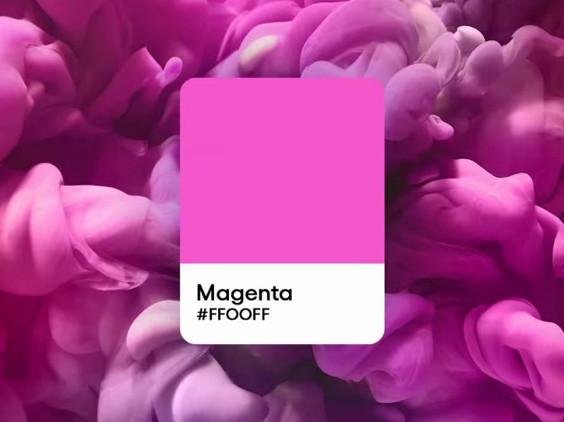 Phong cách thời trang với gam màu magenta chủ đạo
