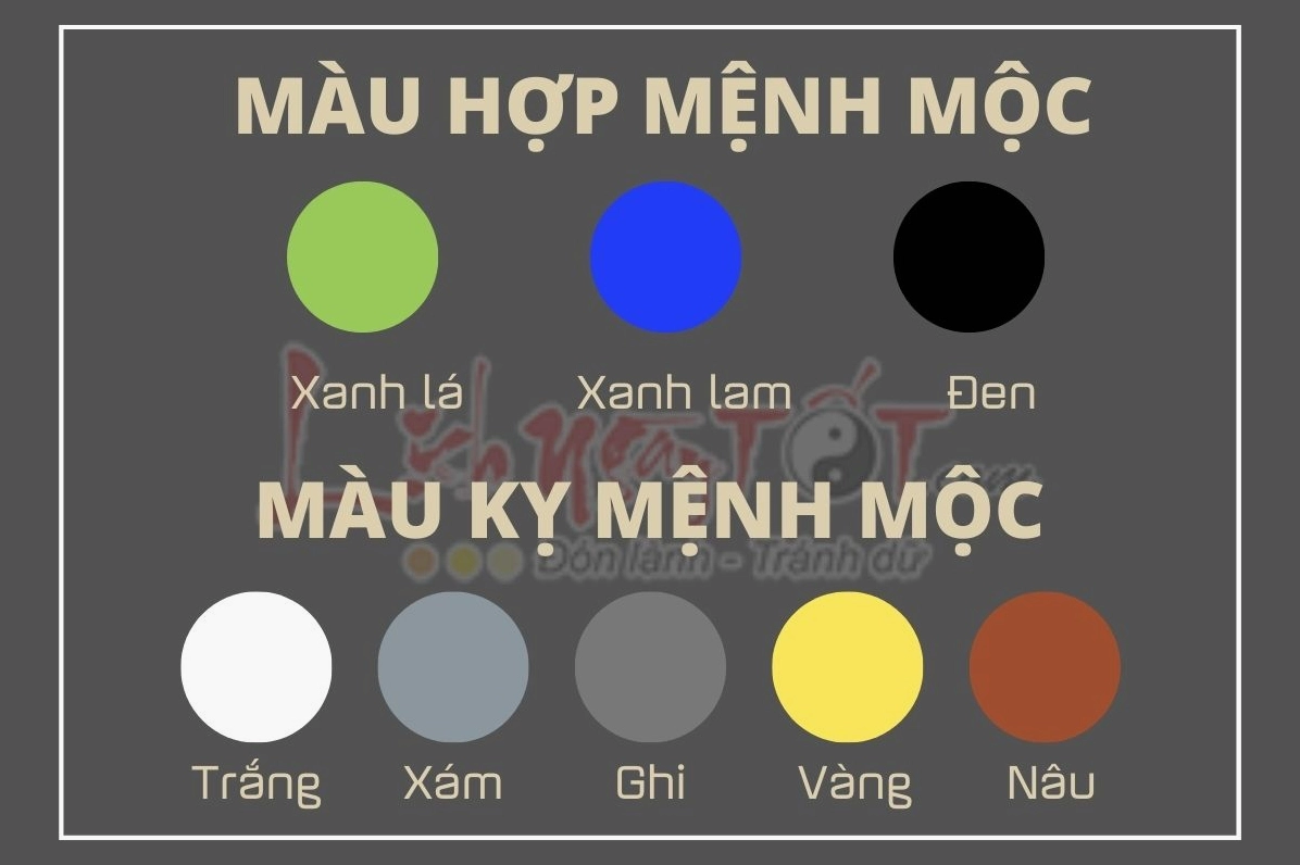 Phong thủy màu sắc cho người mệnh Mộc