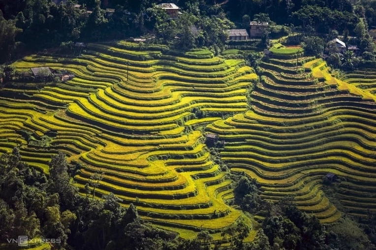 Ruộng bậc thang Hoàng Su Phì mùa lúa chín