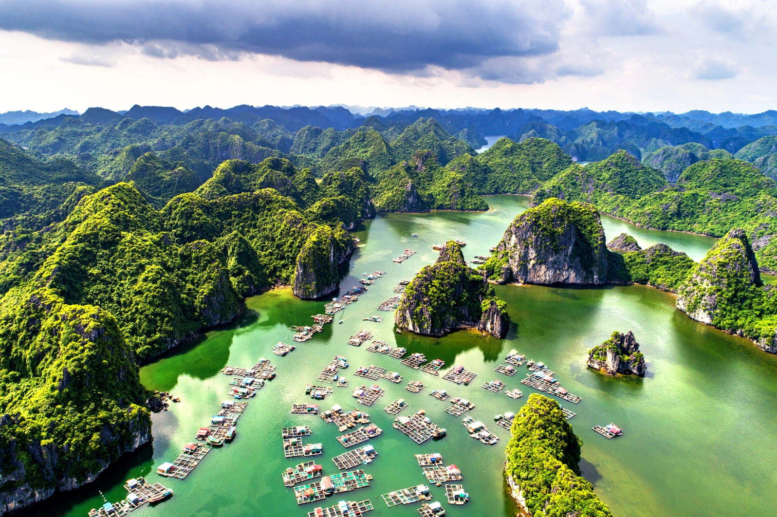 Ruộng bậc thang Sa Pa mùa lúa chín