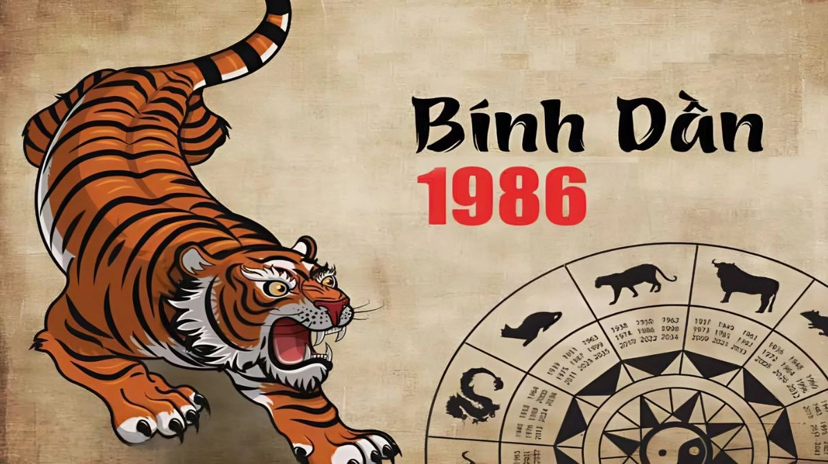 sinh-nam-1986-nu-mang-gi-giai-ma-van-menh-chi-tiet_833