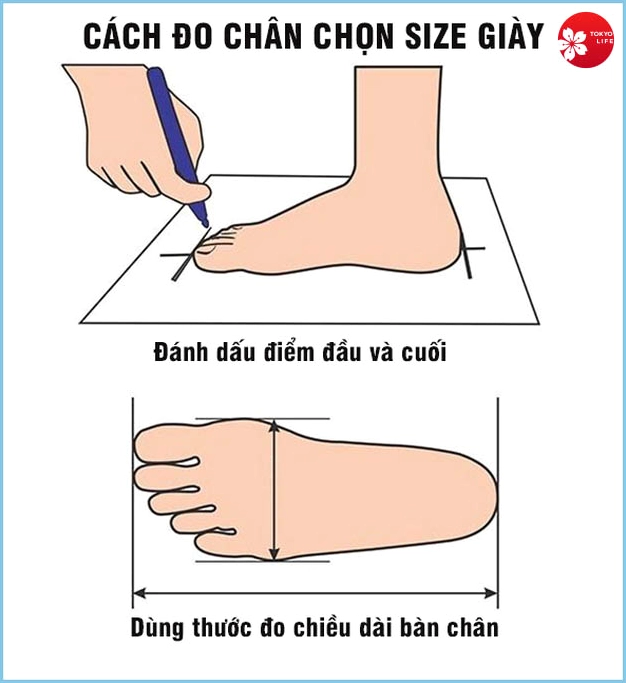 Sử dụng thước để đo khoảng cách từ gót chân đến ngón chân
