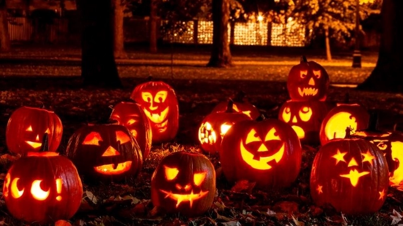 Sự kết hợp màu sắc đa dạng trong trang trí Halloween