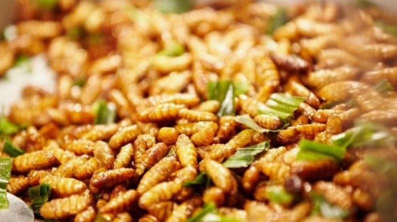 Thịt trâu gác bếp đặc sản Yên Bái