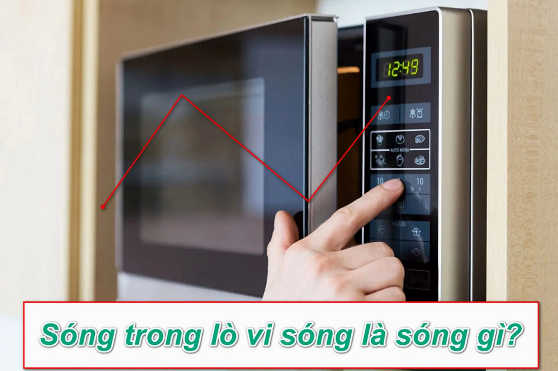 Thức ăn đang được nấu trong lò vi sóng