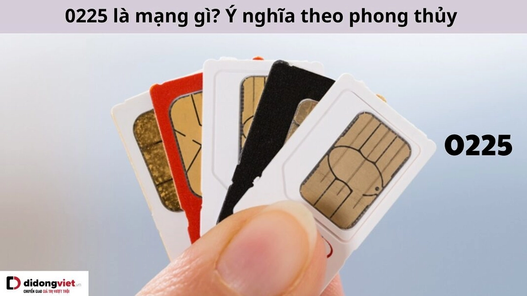 Tìm hiểu về đầu số 0225