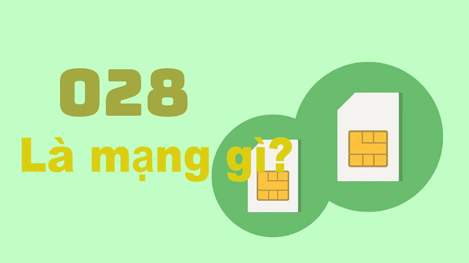 Tổng quan đầu số 028 là mạng gì