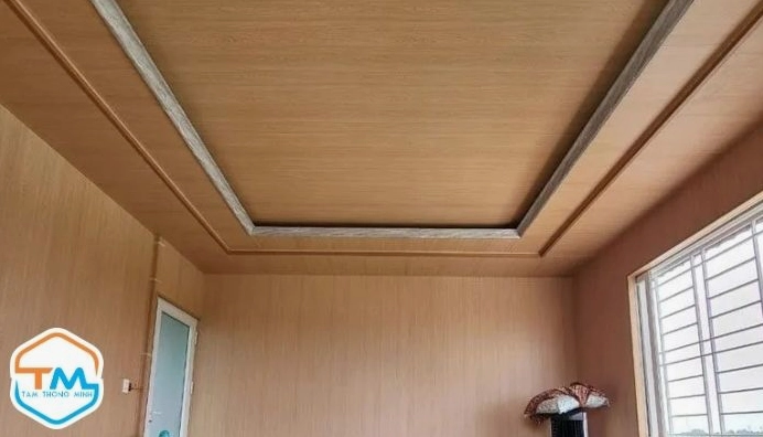 Trần la phông hiện đại trong không gian phòng khách