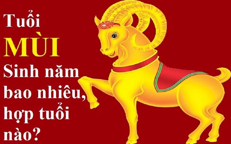 tuoi-mui-sinh-nam-bao-nhieu-giai-ma-van-menh-chi-tiet-2026_764