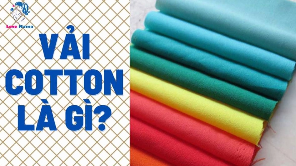 vai-cotton-thuoc-loai-vai-nao-phan-tich-chuyen-sau_251