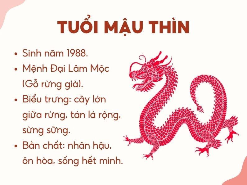 Vật phẩm phong thủy cho người sinh năm 1988