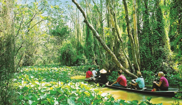 Vẻ đẹp sông nước Đồng Tháp