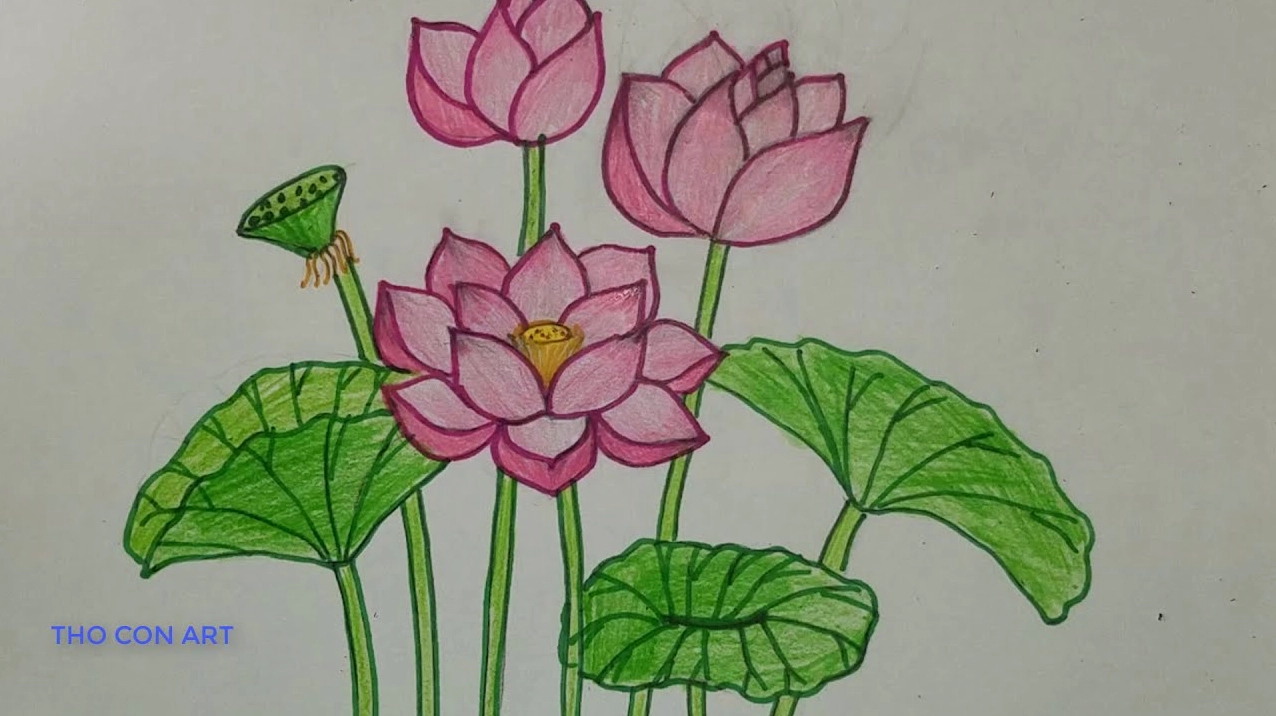 ve-hoa-sen-on-gian-nhat-huong-dan-tung-buoc-cho-nguoi-moi-ba_645