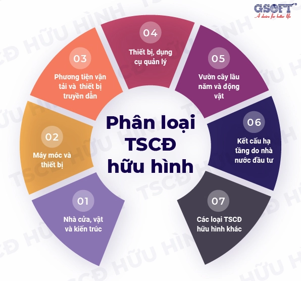 Ví dụ về tài sản hữu hình trong doanh nghiệp