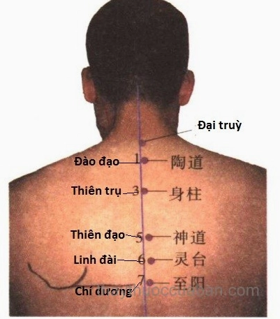 Vị trí huyệt Đại Chùy trên cổ