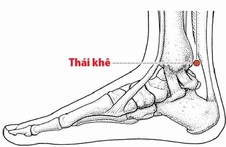 Vị trí huyệt Thái Khê trên cổ chân