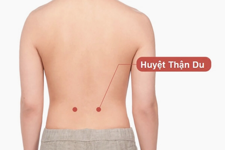 Vị trí huyệt Thận Du trên cơ thể