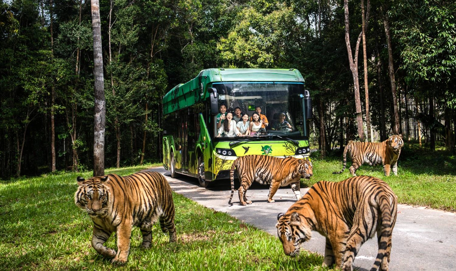 vinpearl-safari-phu-quoc-kham-pha-the-gioi-hoang-da-2026_290