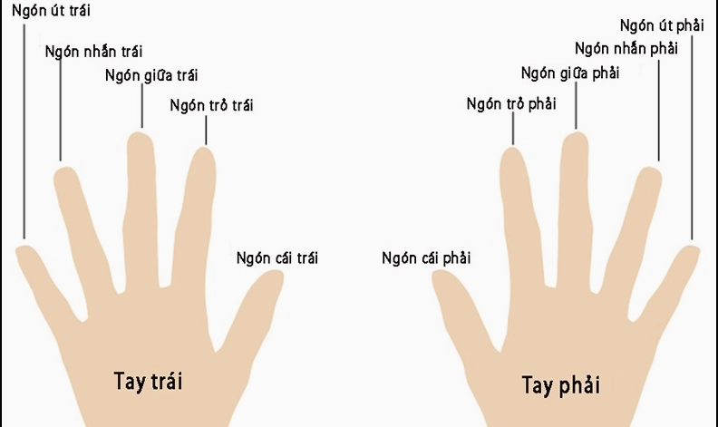 Ý nghĩa đeo nhẫn các ngón tay nữ