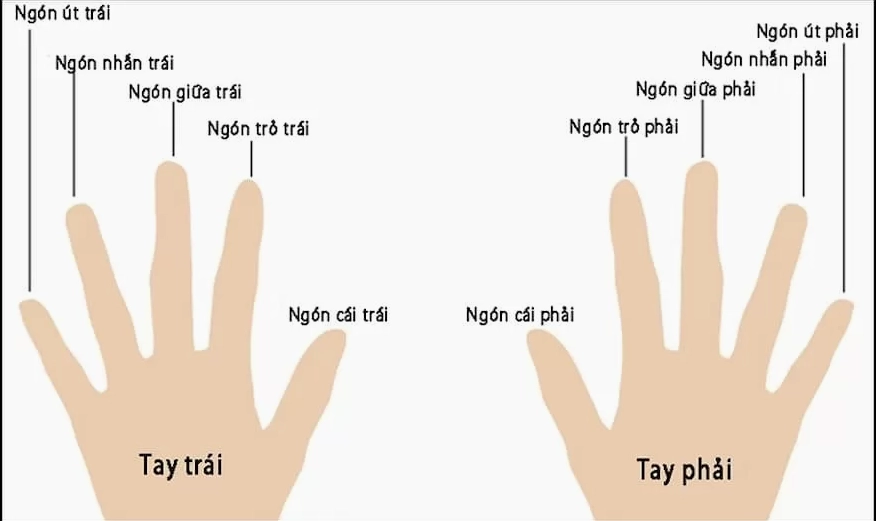 Ý nghĩa đeo nhẫn trên các ngón tay khác nhau